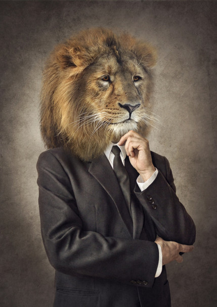 Lion In Business Suit Head Wearing Human Clothes Funny Parody Animal Art Photo Cool Wall Decor Art Print Poster 12x18