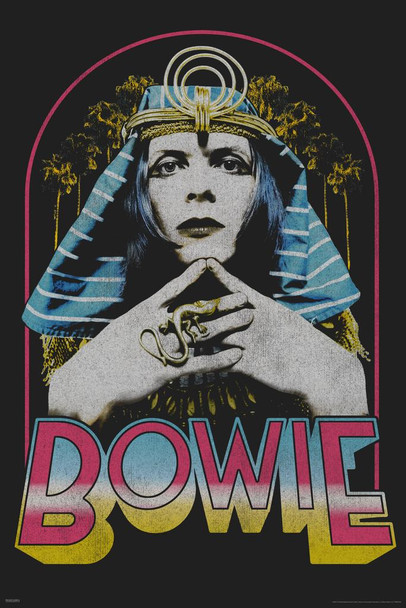 David Bowie as The Sphinx 1969 Retro Vintage Glam Rock Music Stretched Canvas Art Wall Decor 16x24