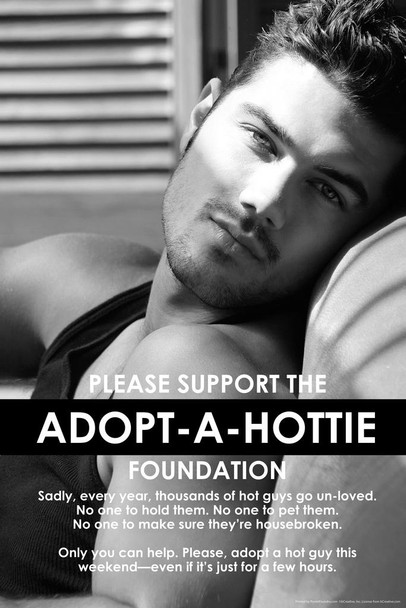 Please Support The Adopt A Hottie Foundation Humor Stretched Canvas Art Wall Decor 16x24