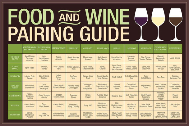 Food And Wine Pairing Guide Wine Education Poster Reference Chart Wine Decor Brown Stretched Canvas Art Wall Decor 16x24