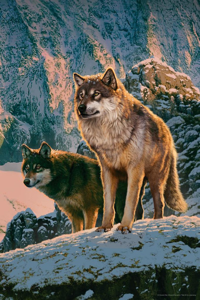 Wolf Couple Snowy Ridge Sunset by Vincent Hie Wolf Posters For Walls Posters Wolves Print Posters Art Wolf Wall Decor Nature Posters Wolf Decorations for Bedroom Stretched Canvas Art Wall Decor 16x24