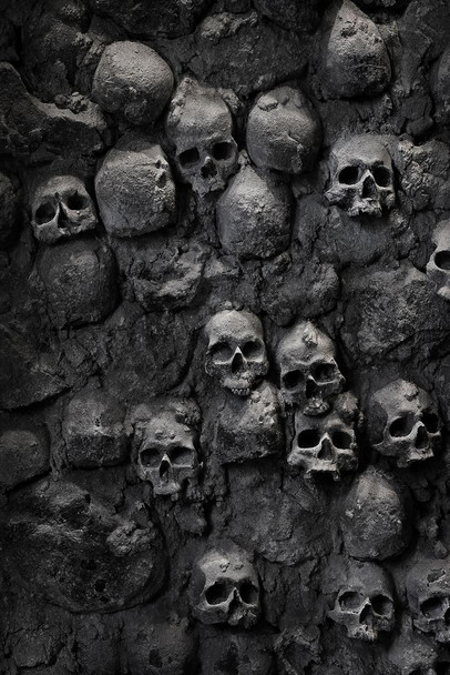 Skulls Stacked in Wall Skeleton Spooky Horror Photo Photograph Human Anatomy Scary Stretched Canvas Art Wall Decor 16x24