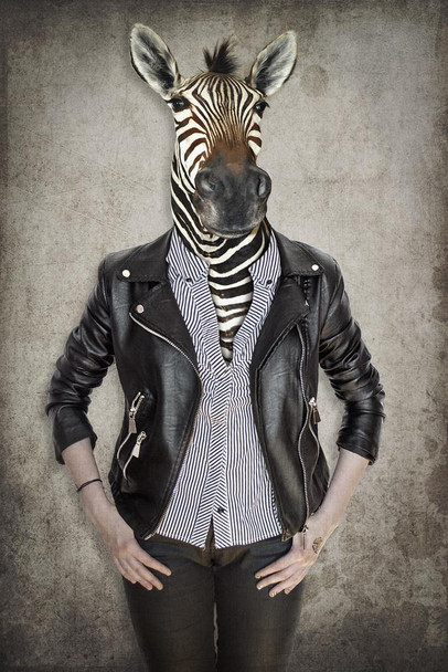 Laminated Zebra Head Wearing Human Clothes Wild Animal Mashup Funny Parody Animal Face Portrait Art Photo Poster Dry Erase Sign 24x36