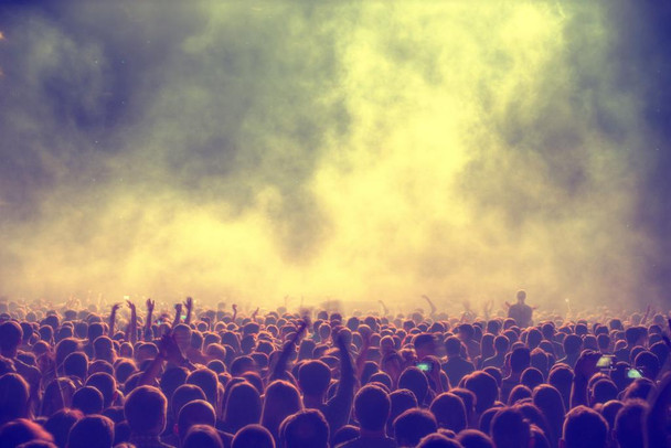 Laminated Music Concert People Dancing Crowd Outdoor Party Rave Stadium Show Photo Poster Dry Erase Wall Art 24x36