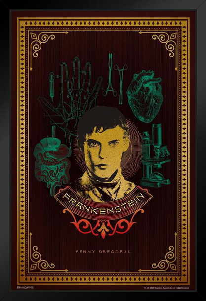 Penny Dreadful Victor Frankenstein Horror TV Show Showtime Merchandise Television Series Black Wood Framed Art Poster 14x20