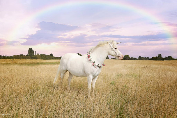 Laminated Unicorn Rainbow Girls Bedroom Decor Cute Fantasy Animal Horse Poster Dry Erase Sign 24x36