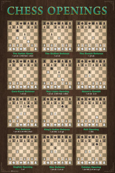 Chess Openings Game Room Decor Chart Moves Defense Cool Wall Decor Art Print Poster 24x36