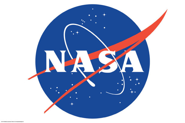 NASA Meatball Logo Poster 24x36 Inches