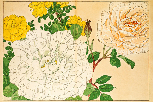 Roses Japanese Woodblock Print Illustration Cool Wall Art Print Poster 18x12