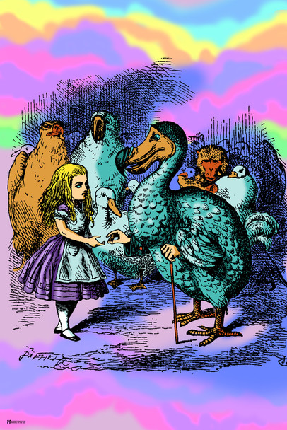 Alice and Dodo Bird Alice In Wonderland Through the Looking Glass Psychedelic Trippy Room Decor Aesthetic Vintage Retro Hippie Decor Indie Mad Hatter Tea Party Cool Wall Decor Art Print Poster 12x18