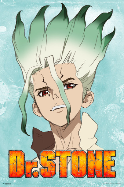 Dr Stone Senku Character Portrait Anime Series Crunchyroll Webtoon Merch Anime Poster Dr Stone Merch Anime Wall Art Manga Wall Decor Doctor Stone Animated Series Cool Wall Decor Art Print Poster 12x18