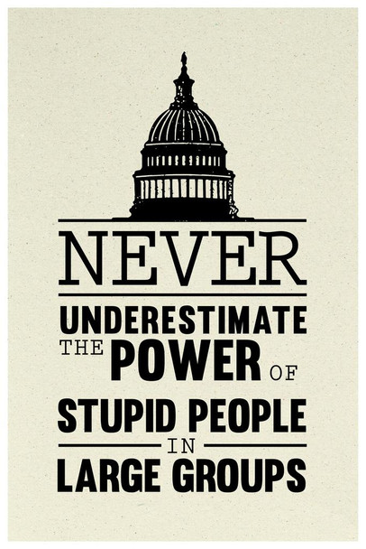 Never Underestimate the Power of Stupid People In Large Groups Funny Political Humor Congress Senate Democrat Republican Government Cool Huge Large Giant Poster Art 36x54