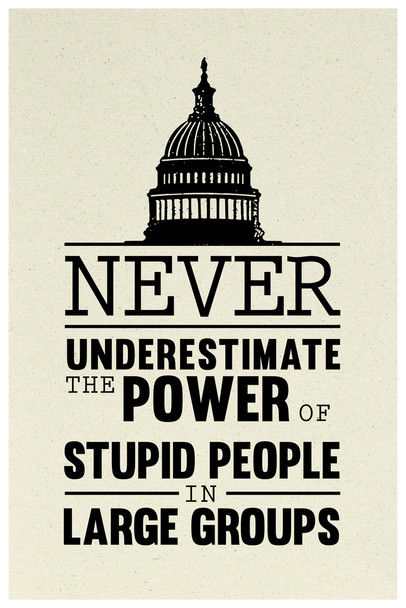 Never Underestimate the Power of Stupid People In Large Groups Funny Political Humor Congress Senate Democrat Republican Government Cool Wall Decor Art Print Poster 12x18