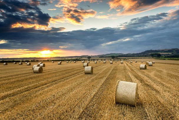Farmers Field Full of Hay Bales at Sunset Roseberry Topping Photo Photograph Cool Wall Art Print Poster 18x12