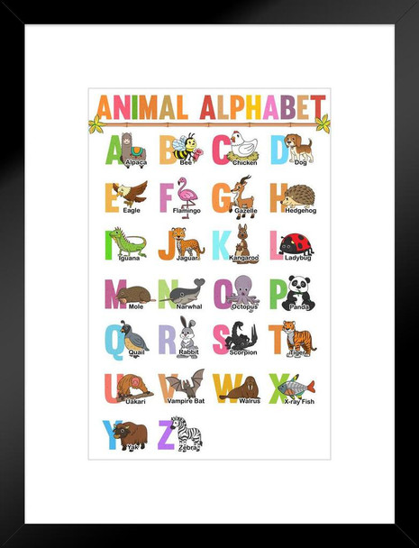 Classroom Alphabet Poster Chart Teacher Supplies For Classroom School Decor Teaching Toddler Kids Elementary Learning Decorations Alphabet Wall Chart ABC Chart Matted Framed Art Wall Decor 20x26