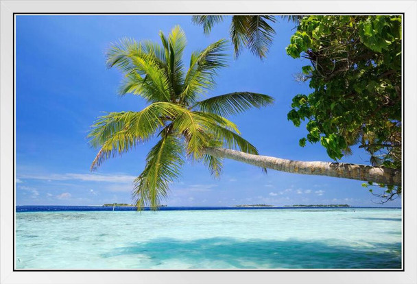 Palm Tree Extending Leaning Over Blue Ocean Photo Photograph Beach Sunset Landscape Pictures Scenic Scenery Tropical Nature Photography Paradise Scenes White Wood Framed Art Poster 20x14