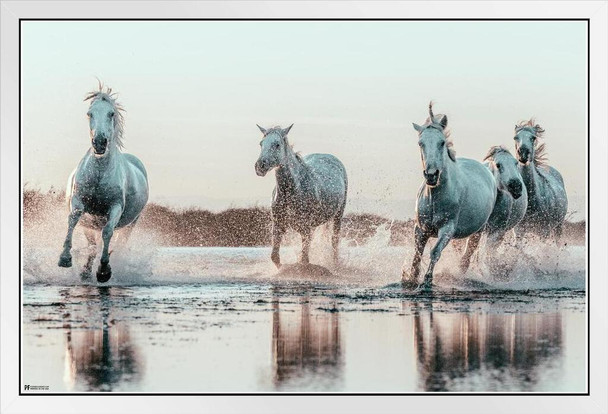 Wild Horses Running On Beach Ocean Water Spraying At Sunset Girls Bedroom Decor Cute Animal Western Country White Wood Framed Art Poster 14x20