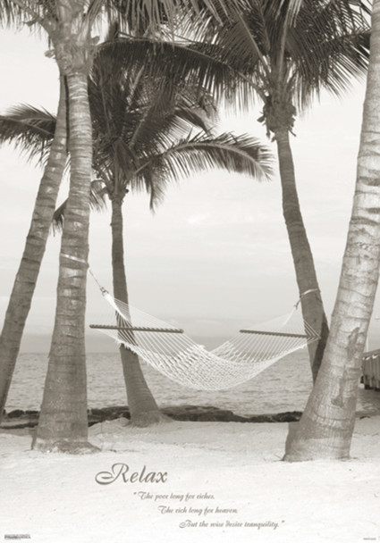 Relax Hammock Cool Wall Art Print Poster 11.5x16.5