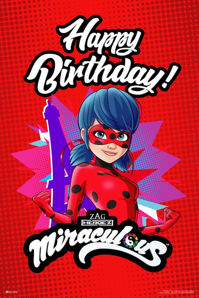 Laminated Miraculous Ladybug Poster Lady Bug Birthday Banner Party Kids Poster Dry Erase Wall Art 24x36