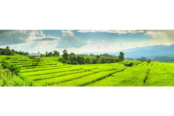 Laminated Rice Terraces Fields Landscape Panoramic Photo Poster Dry Erase Sign 12x36