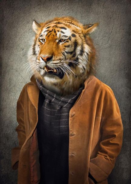 Tiger Head Human Body Wearing Clothes Jungle Cat Face Portrait Funny Parody Animal Art Photo Fantasy Stretched Canvas Art Wall Decor 16x24