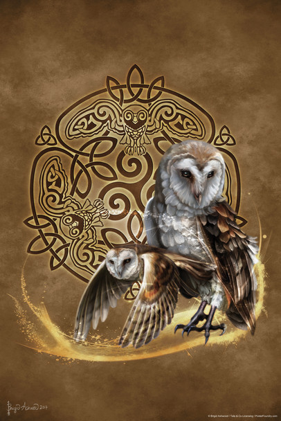 Celtic Owl by Brigid Ashwood Fantasy Art Wall Decor Nature Animal Illustration Celtic Ornate Wall Art Flower Knot Pattern Spiritual Art Print Decorative Painting Cool Wall Decor Art Print Poster 12x18