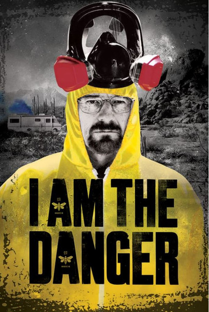 Breaking Bad I Am The Danger TV Show Cool Wall Decor Art Print Poster 24x36