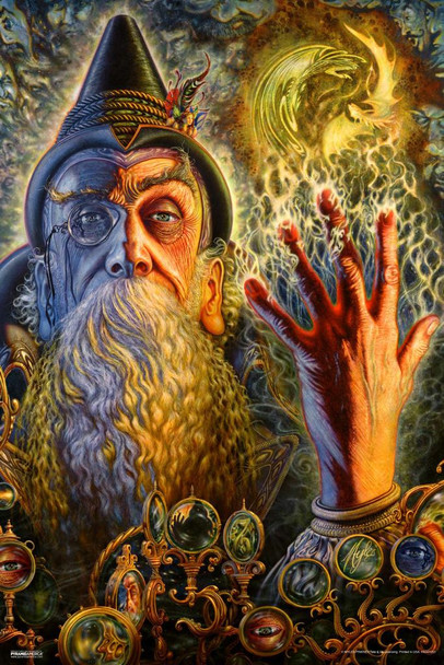 Wizard by Myles Pinkney Stretched Canvas Art Wall Decor 16x24