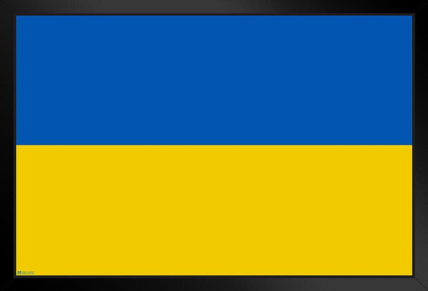 Ukraine Flag Stand With Ukraine Support Ukrainian Independence President Zelenskyy Ghost of Kyiv Resistance Pride Stand or Hang Wood Frame Display 9x13