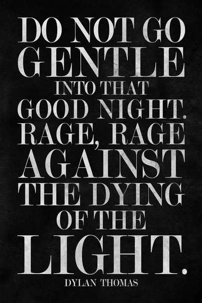 Dylan Thomas Do Not Go Gentle Into That Good Night Famous Motivational Inspirational Quote Black White Quote Teamwork Inspire Quotation Gratitude Sign Cool Wall Decor Art Print Poster 16x24