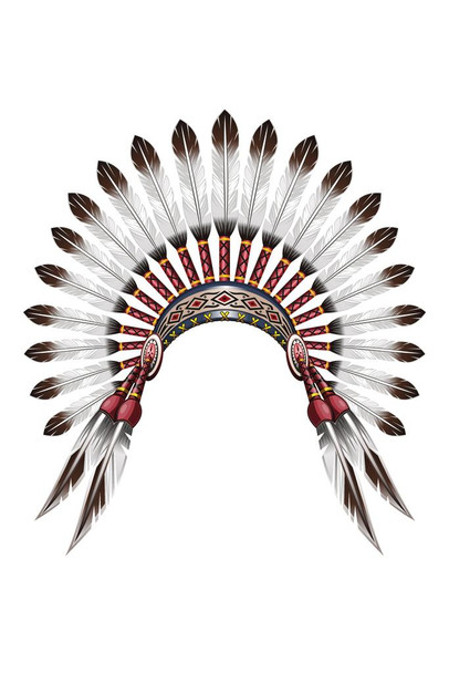 Native American Indian Feather Headdress Cool Wall Art Print Poster 16x24