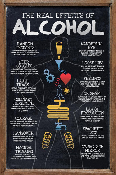 The Real Effects of Alcohol Humor College Student Party Drinking Cool Wall Decor Art Print Poster 16x24