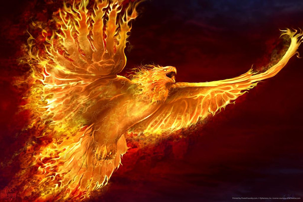 Phoenix Rising Flaming Eagle by Tom Wood Fantasy Poster Bird On Fire Like Dragon Magical Mystical Animal Creature Cool Wall Decor Art Print Poster 16x24
