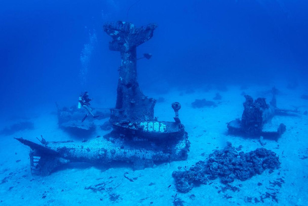 WWII Douglas Dauntless Airplanes Underwater Photo Photograph Cool Wall Decor Art Print Poster 24x16