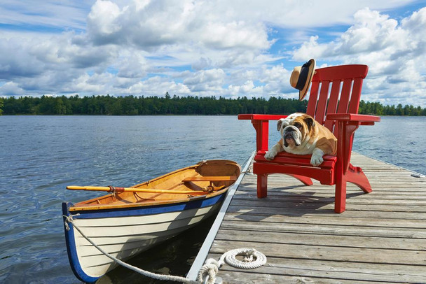 Dog Relaxing in Adirondack Chair on Wooden Dock by Lake Photo Photograph Cool Wall Decor Art Print Poster 24x16