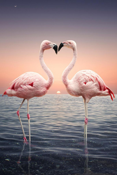 Pink Flamingoes Standing Face to Face Love Flamingo Prints Flamingo Wall Decor Beach Theme Bathroom Decor Wildlife Print Pink Flamingo Bird Exotic Beach Poster Cool Wall Decor Art Print Poster 16x24