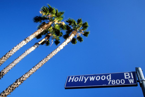 Hollywood Boulevard Street Sign and Palm Trees Los Angeles California Photo Photograph Cool Wall Decor Art Print Poster 24x16