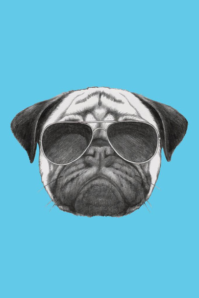 Cool Pug Dog With Sunglasses Puppy Posters For Wall Funny Dog Wall Art Dog Wall Decor Puppy Posters For Kids Bedroom Animal Wall Poster Cute Animal Posters Cool Wall Decor Art Print Poster 16x24