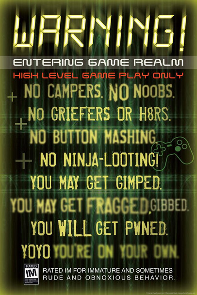 Warning Entering Game Realm Video Gaming Cool Wall Decor Art Print Poster 16x24