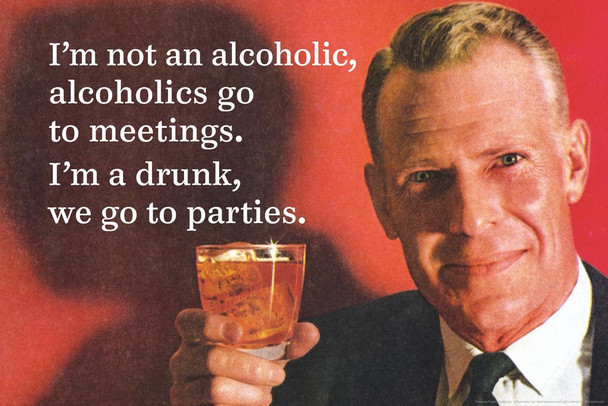 Not An Alcoholic They Go To Meetings Im a Drunk We Go To Parties Funny Cool Wall Decor Art Print Poster 16x24