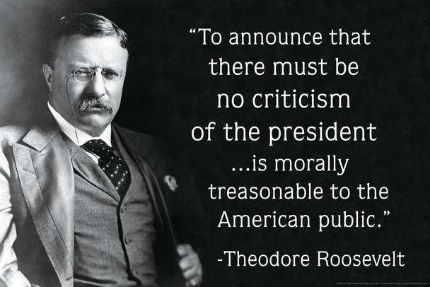 Theodore Roosevelt Criticism of the President Famous Motivational Inspirational Quote Cool Wall Decor Art Print Poster 16x24