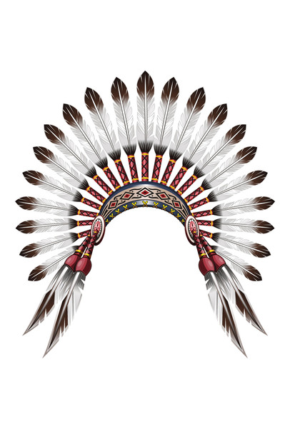 Native American Indian Feather Headdress Cool Wall Decor Art Print Poster 12x18