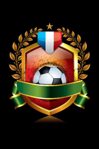 France Soccer Icon with Laurel Wreath Sports Cool Wall Decor Art Print Poster 16x24