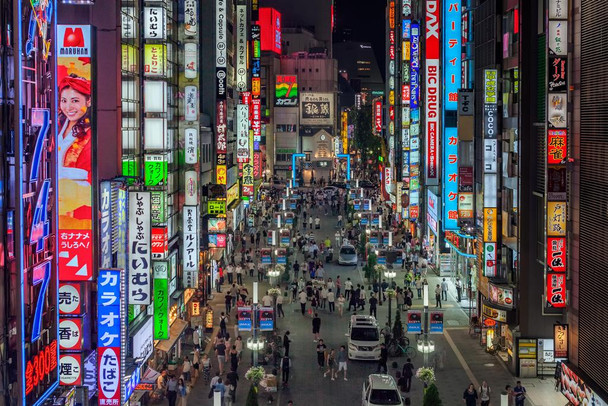 Kabukicho Lights Shinjuku District Tokyo Japan Photo Photograph Cool Wall Decor Art Print Poster 24x16