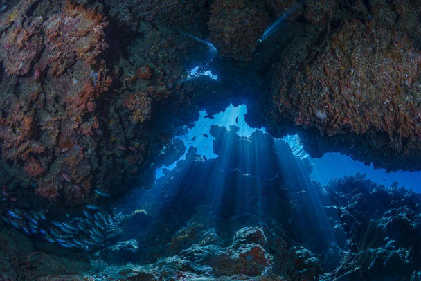 Sea Cave with God Rays Photo Photograph Cool Fish Poster Aquatic Wall Decor Fish Pictures Wall Art Underwater Picture of Fish for Wall Wildlife Reef Poster Cool Wall Decor Art Print Poster 24x16