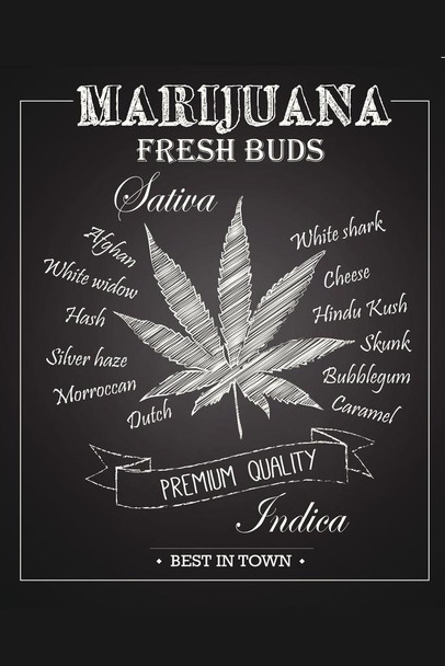 Marijuana Fresh Buds Premium Quality Chalkboard Cool Wall Decor Art Print Poster 16x24