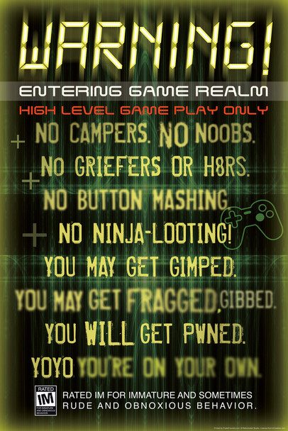Warning Entering Game Realm Video Gaming Cool Wall Decor Art Print Poster 12x18
