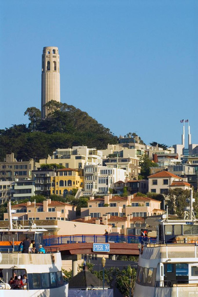 Coit Tower in San Francisco Photo Photograph Cool Wall Decor Art Print Poster 16x24