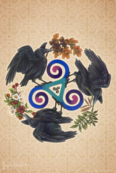 Raven Fey Celtic by Brigid Ashwood Cool Wall Decor Art Print Poster 16x24