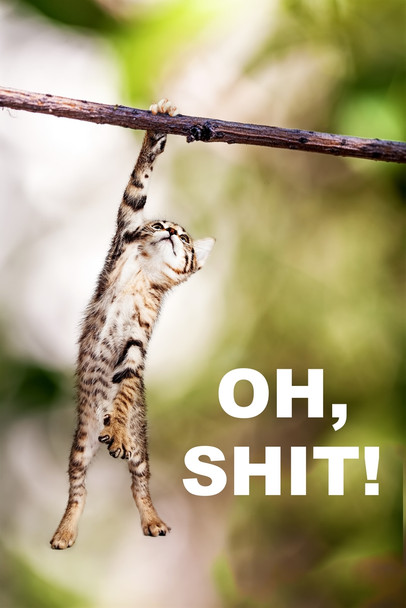 Hang In There Cat Hanging Poster Kitten Kitty Modern Wall Decor Picture Bedroom Home Living Room Cute Creative Graphic Print Gift Wall Art  Painting Cool Wall Art Print Poster 12x18